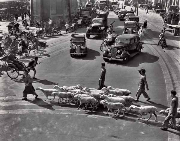 Ƭ1947꣬Ϻͷ