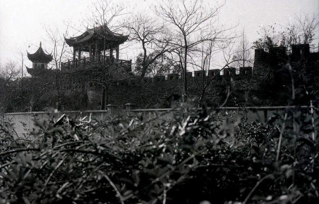 Ƭ1980꣬Ϻɳųǽ