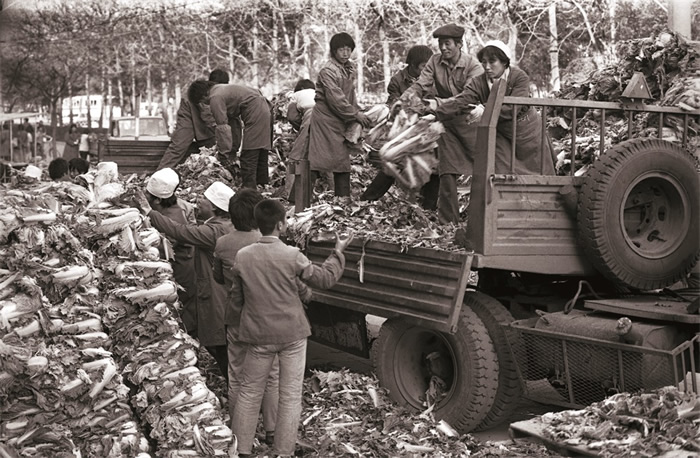 Ƭ1982ıæŰ˻ϵĴײˡ