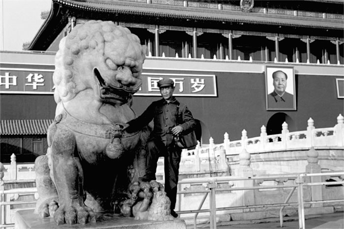 Ƭ1978꣬찲š
