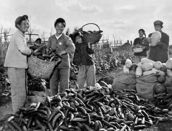 ģ֪ŮժӡƬԼ1968-1973֮䡣