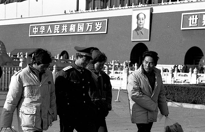 Ƭ1981꣬찲š