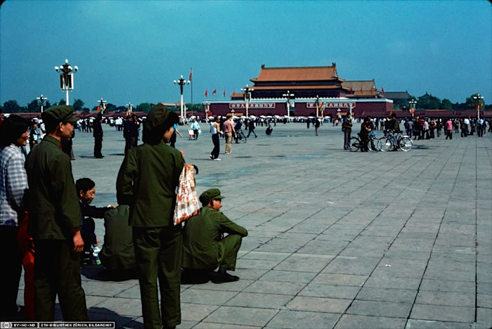 Ƭ1981꣬찲š