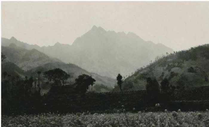 1909꣬Ĵнؾڵţºʹθ߷üɽ