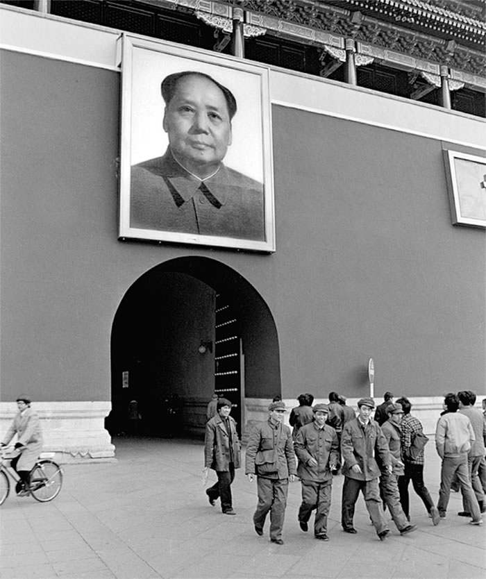 Ƭ1981꣬찲š 