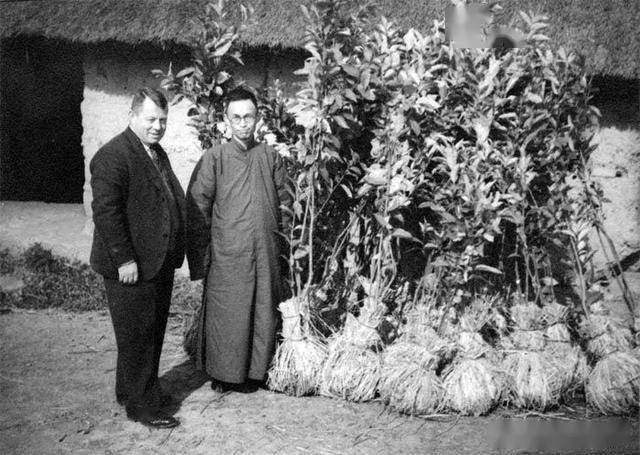 ѧũֲׯڣ1939꣩