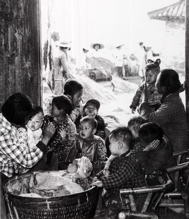 Ƭ1964Ϻ ũæж