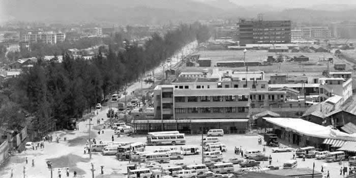 Ƭ1981Ľеھ޺С