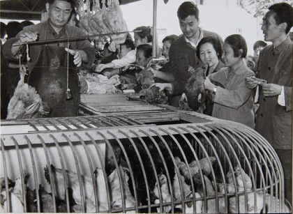 Ƭ1980꣬Ϻ¹˳