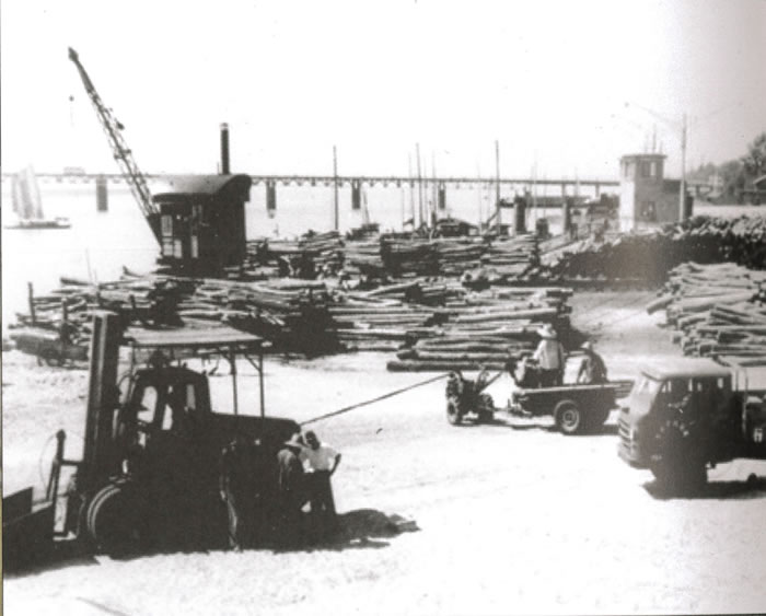 Ƭ1979ĸӽϲͷ