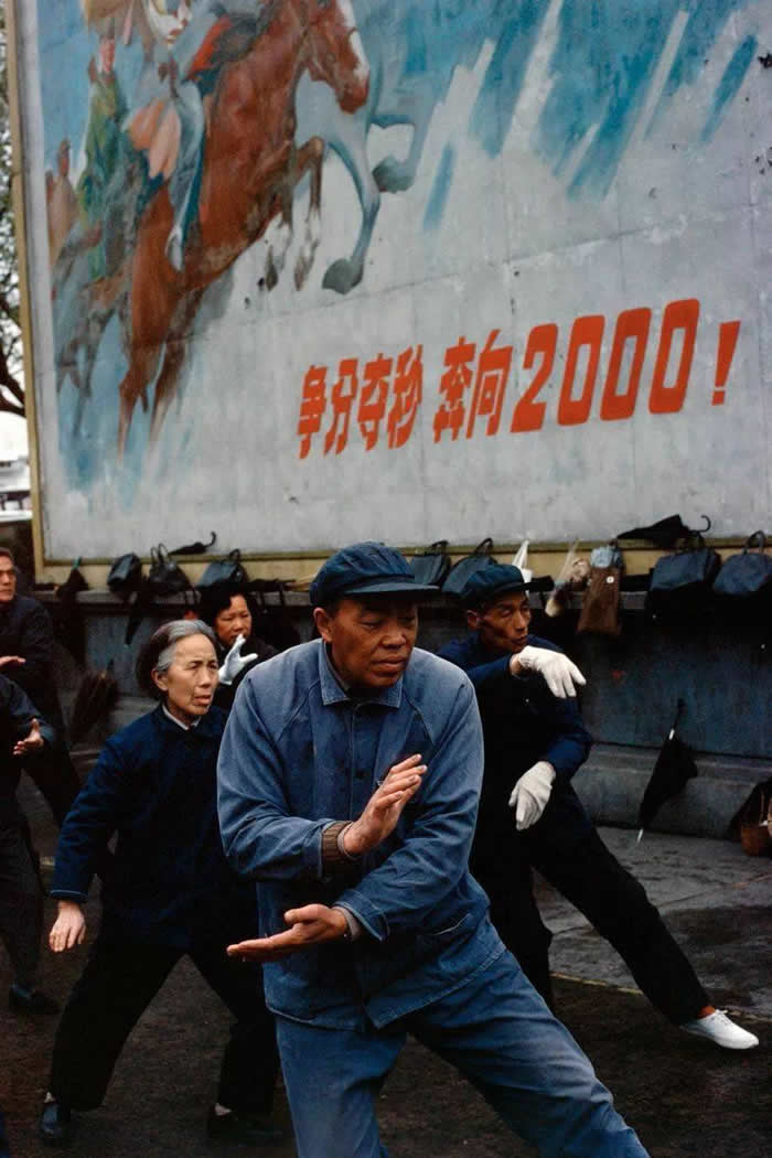 Ƭ1980꣬Ϻֶ뱼2000