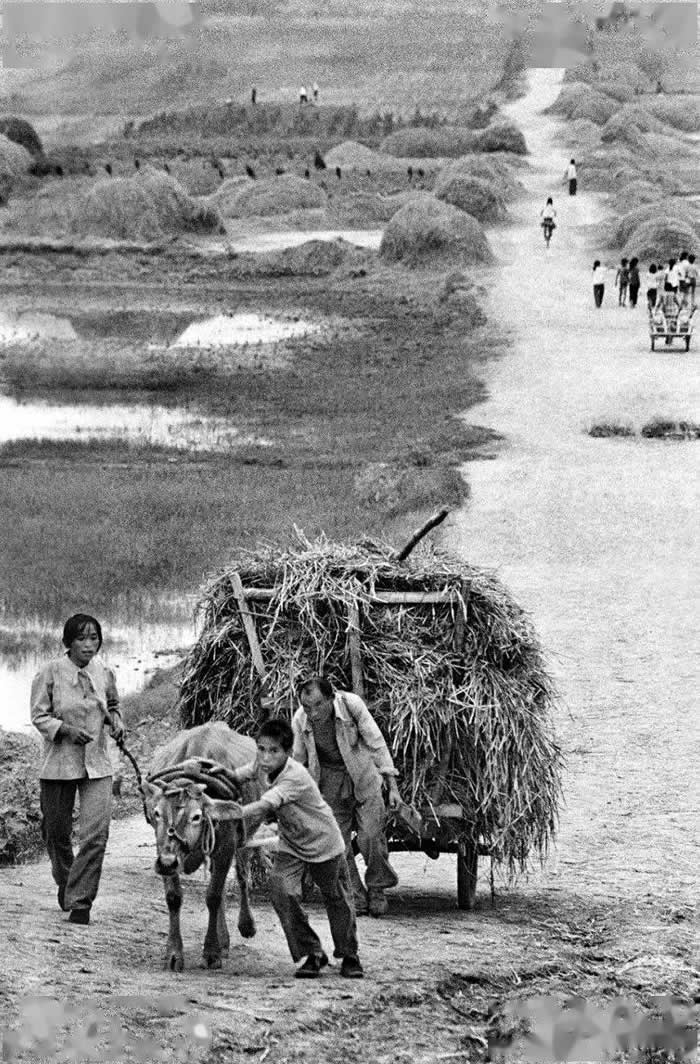 1977꣬ɽСһ 