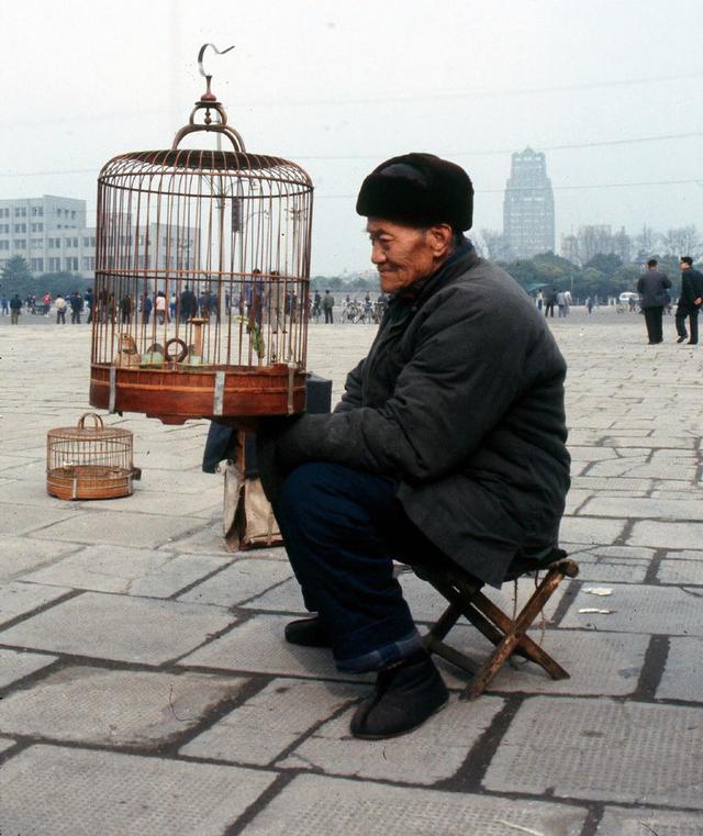 Ƭ1983꣬Ϻ㳡ϣһλź£һֻԴĿע