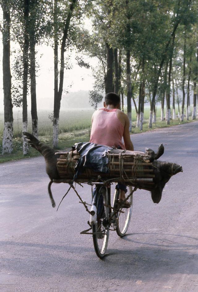 Ƭ1979꣬ɶһλгӣϰһͷ׼͵ڵгۡ