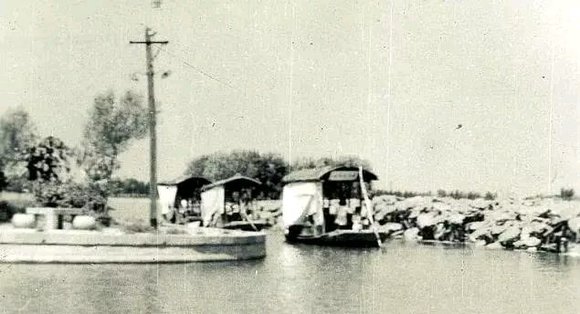 Ƭ1961ʢģϣĺɻδ
