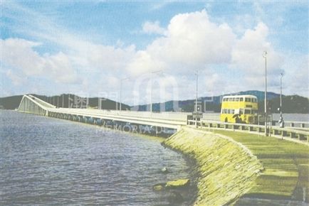 1975꣬ţĚϵ˫͡