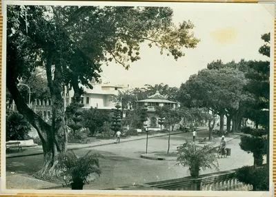 1963꣬ţ˽ͤ