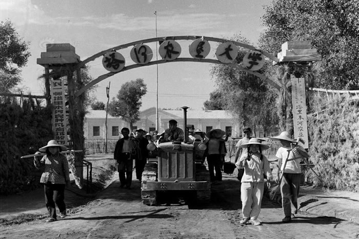 ľũѴѧľѧλľϵİСΪͿߺͿľԸ˲ŵҪ1958괴