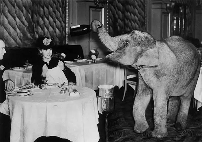 193812£ٶ԰Ĵ÷Cometһλ׶Ƥ㳡޿޷꣨Trocadero RestaurantһĩԱ