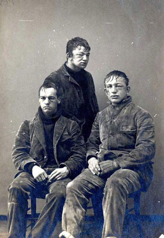 ˹ٴѧһһ꼶Զ꼶ѩսĺӰ1893ꡣ