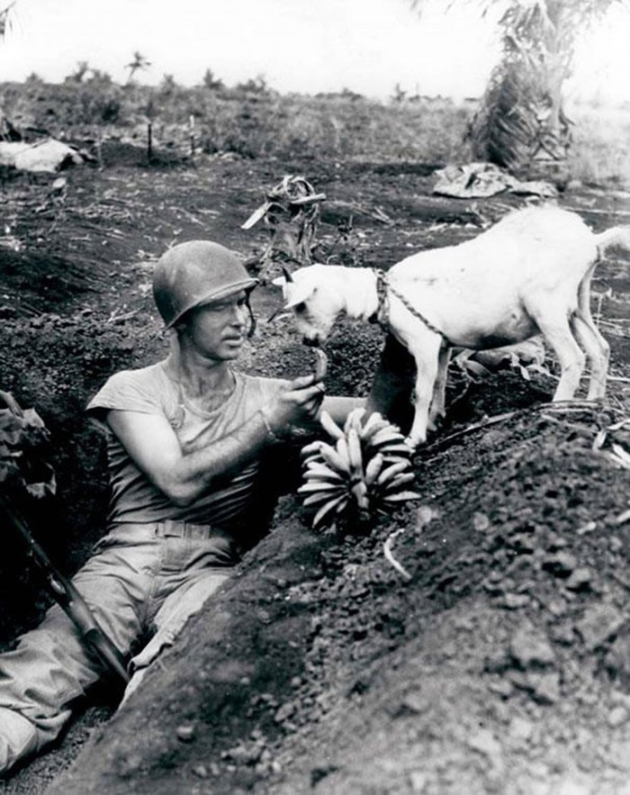 ൺսУһλʿһͷɽڷе㽶1944ꡣ