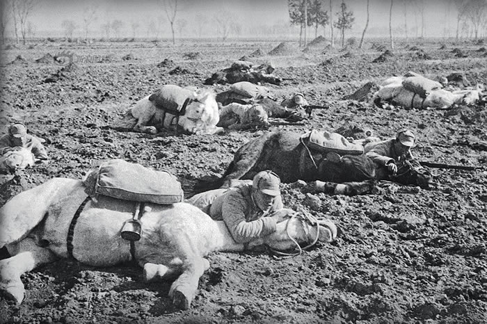 1939꣬а·ѵƬ١ٿᰮӰС20ǹ䡰ˡӰӰʯٻ˺ʯٻɳһ졶켽˿Ͻ