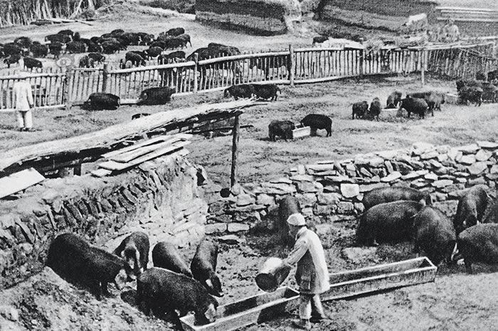 1941꣬÷صѡ1942ףйչ˶ͼΪӰĳӰʦӡӰƶŮ͡·ʹ1938Ӱˡ·βӰšȺְӰƬͱӰѧԺӰӡ