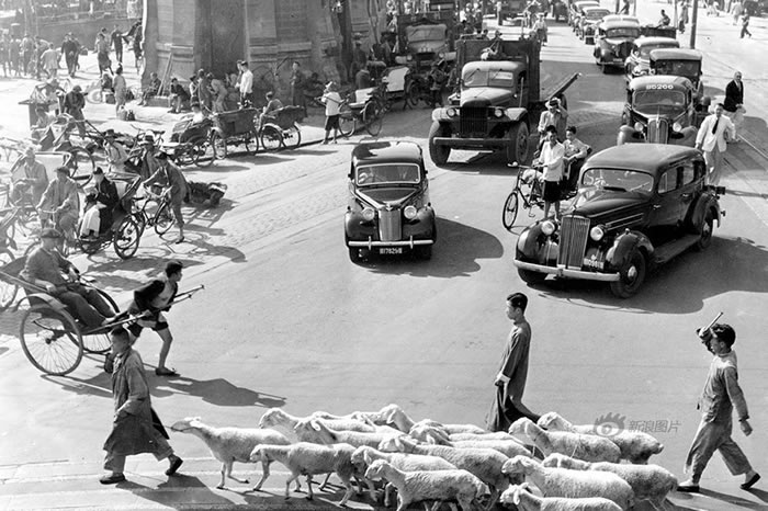 ⳵˾ҲҪǮġ1946Ϻ˾涨˾ÿϽӪҵɸ˾ĳֻ˾ʣȫ鹫˾С1941̫ƽսͶȱгһͣʻͼΪ1947Ϻͷĸֳ
