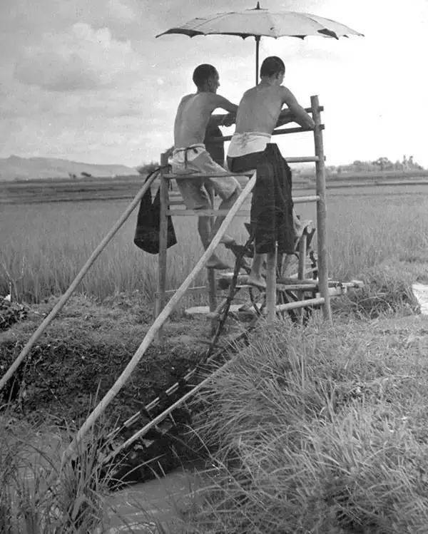 1941꣬Ȫ䣬̤ˮˮӡ