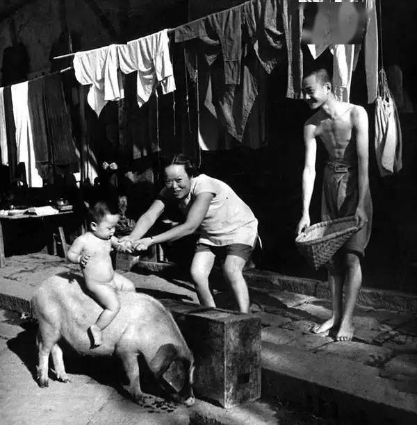 1941꣬Ȫ䣬úϡ