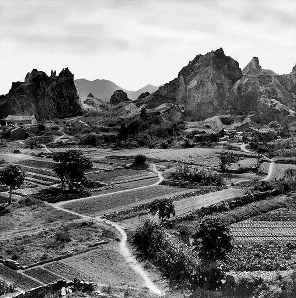 1946꣬۾뵺һϴׯ