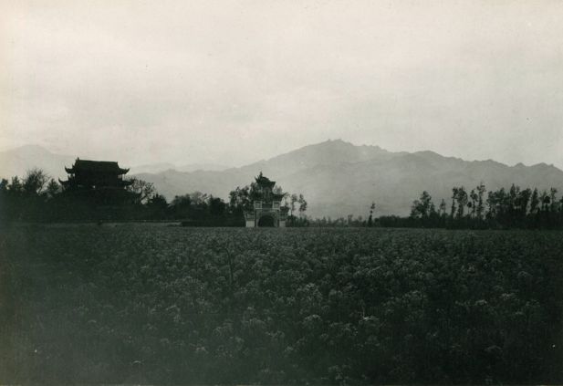 190947գĺɫʱ֣ŵִض⡣