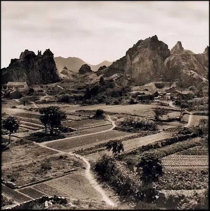 1946۾