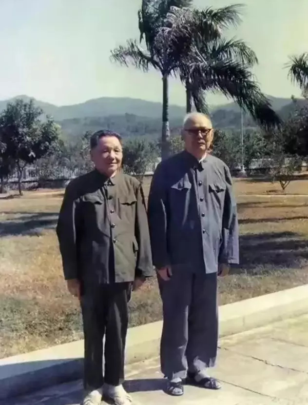 1977꣬73ĵСƽ80ҶӢӰ