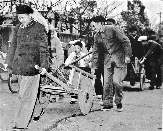 1959괺ڣΤͷ硣