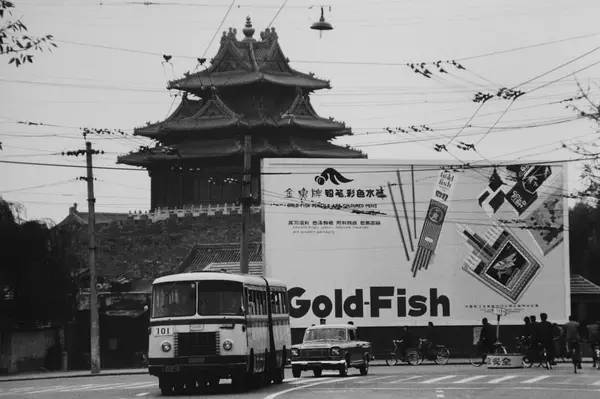 1981꣬һƣǦʡɫˮʣ