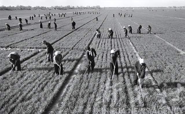 1972꣬ŹֲԽС󣬳ϲˡԱڶԷСǿ