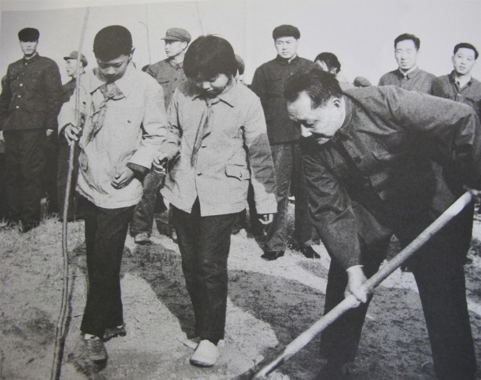 1979312գСƽڱӸׯֲ