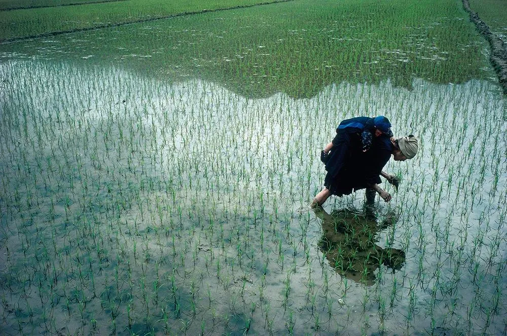 1989꣬Э
