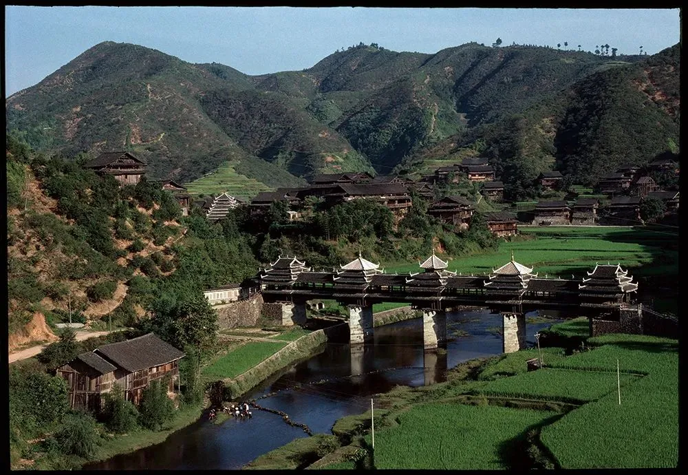 1989꣬š