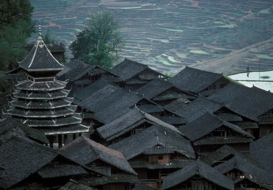 1989꣬ˣŹ¥