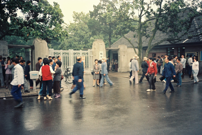 1985꣬Ϻڹ԰