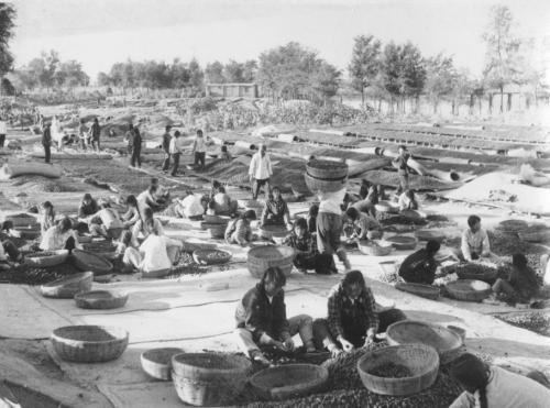 70年代农村老照片