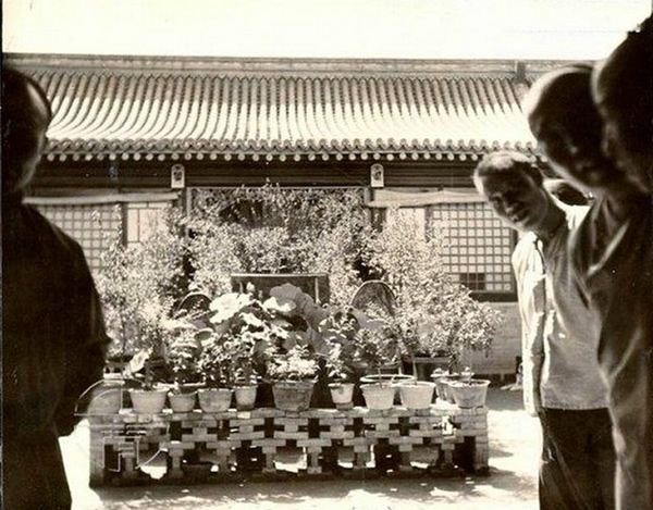 图为1907年直隶顺天府大兴县的一处农家庭院。
