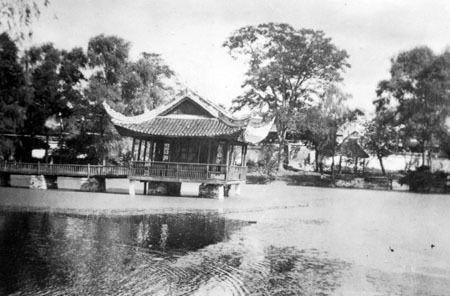 梦草公园