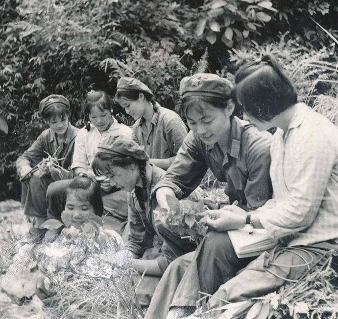 解放军医疗队的卫生员和赤脚医生一起进山采药。