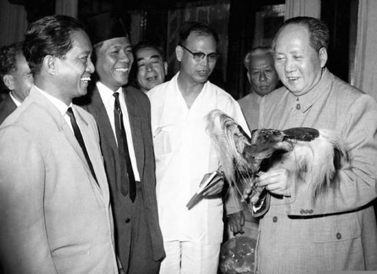 ����Ƭ��1963��9��3�գ�ӡ������ǰ��ط����й��ڼ䣬��ӡ��������걾���͸�ë�󶫡�